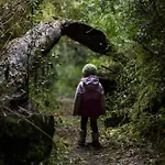 Centro Turistico Anticura Parque Nacional Puyehue