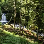Centro Turistico Anticura Parque Nacional Puyehue