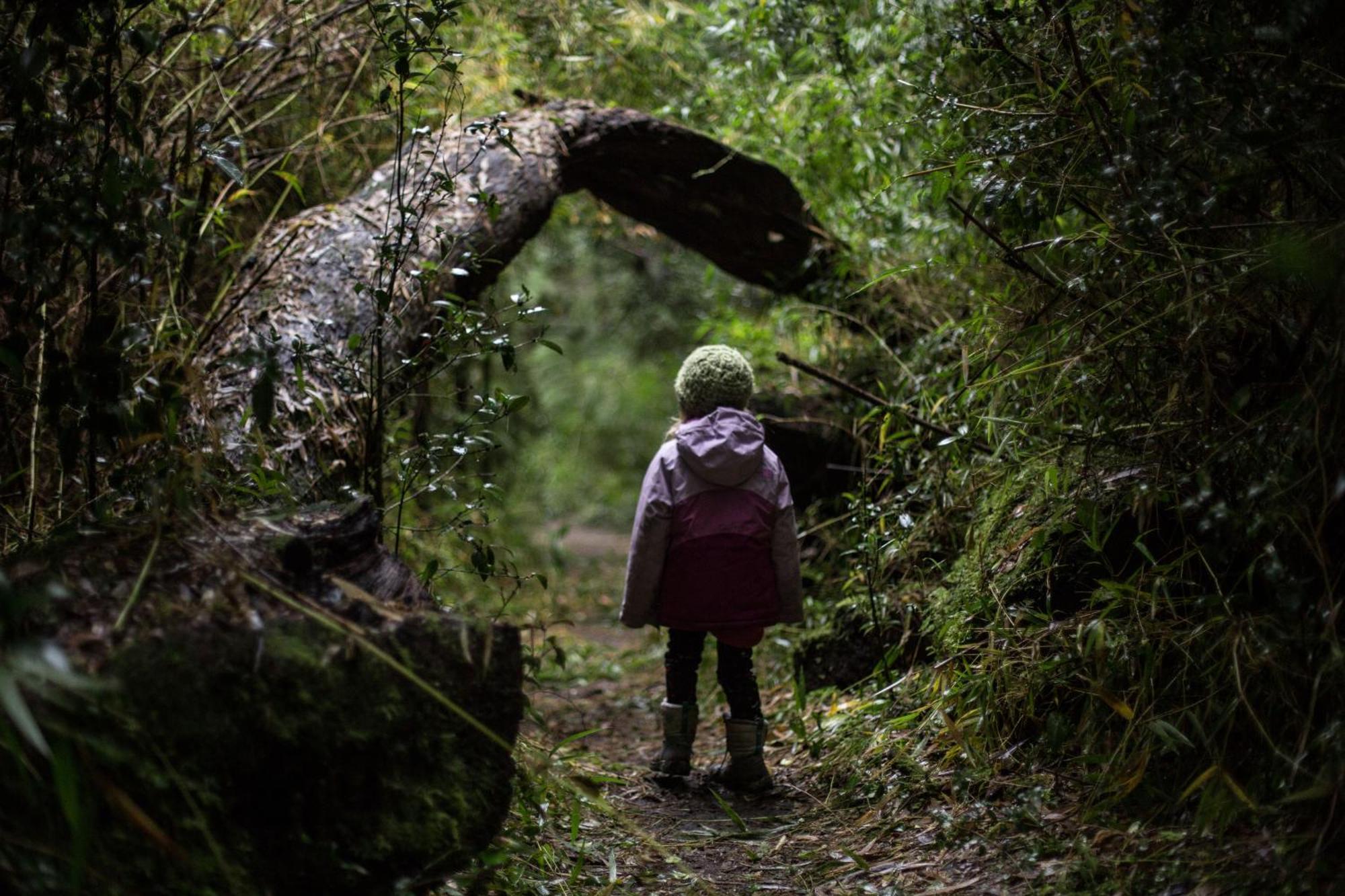 Centro Turistico Parque Nacional Puyehue