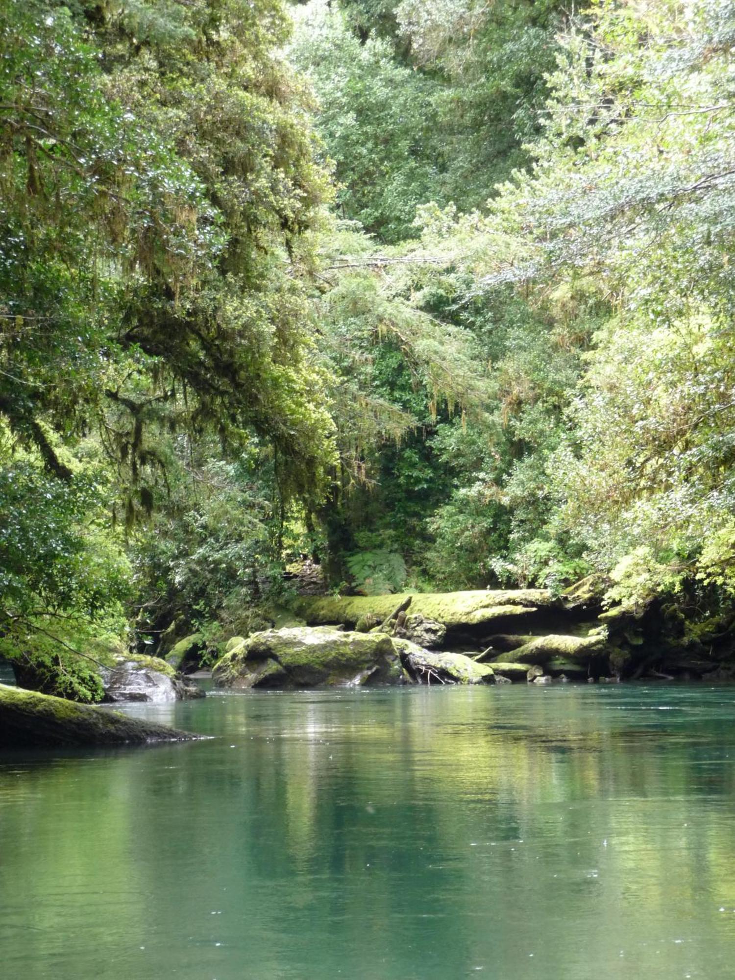 Centro Turistico Parque Nacional Puyehue *